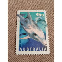 Австралия 1998. Дельфин