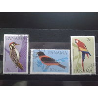 Панама 1965 Птицы