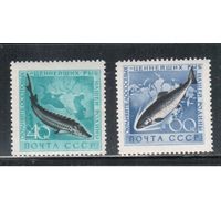 СССР-1959, (Заг.2246-2247)  * , Фауна, Рыбы