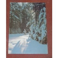 Открытка "Зимний лес" 1986г. чистая