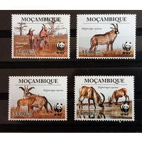 МОЗАМБИК   2009  Дикая Фауна  ОХРАНА ПРИРОДЫ WWF MNH