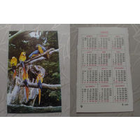 Карманный календарик. Попугаи.1989 год