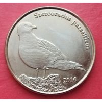 Шетландские острова, 1 фунт 2016. Короткохвостый поморник.