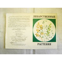 Лекарственные растения (наглядное пособие-определитель, выпуск 3, УССР, 1973 г.)