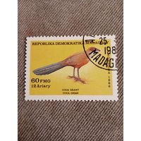 Мадагаскар 1986. Птицы. Coua Gigas