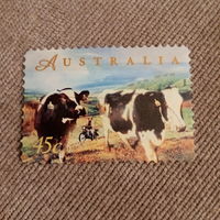 Австралия 1998. Домашний скот. Коровы