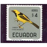 Эквадор. Птица. Желтохвостый цветной трупиал