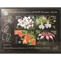 2016 Центральный ботанический сад НАН Беларуси. Орхидеи