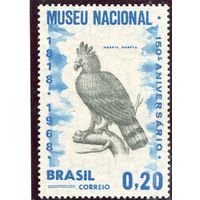 Бразилия. 150 лет национальному музею. Южноамериканская гарпиа