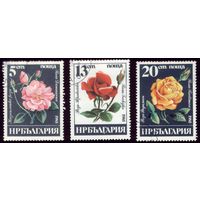 3 марки 1985 год Болгария Розы 3373-3375