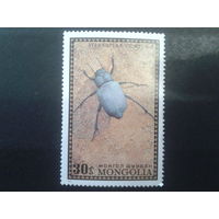 Монголия 1972 насекомое