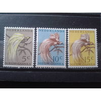 Нидерландская Новая Гвинея 1954 Птицы**