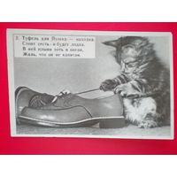 Открытка "котик" до 1960 г. (подписана) мал. формат