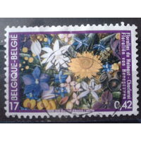 Бельгия 2000 Полевые цветы