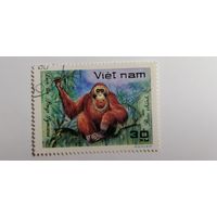 Вьетнам 1981. Дикая природа. Животные