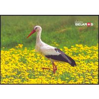 Беларусь 2019 посткроссинг открытка фауна птицы аист