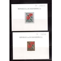 Сальвадор-1960, (Мих.Бл.6-7)  * (сл. от накл.), Флора, Цветы