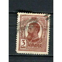 Королевство Румыния - 1909/1914 - Король Кароль I 3B - [Mi.221] - 1 марка. Гашеная.  (Лот 48EA)-T2P22
