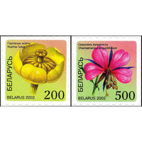 Шестой стандартный выпуск Беларусь 2002 год (492-493) серия из 2-х марок