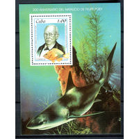 Куба - 1999г. - Рыбки - полная серия, MNH, есть маленькое пятнышко на лицевой стороне [Mi bl. 154] - 1 блок
