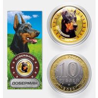 Коллекционная монета Доберман