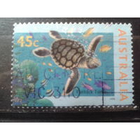 Австралия 1995 морская черепаха
