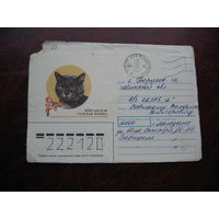 Конверт СССР Британская голубая кошка 1990 год, штамп Молодечно, Борисов