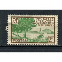 Французские колонии - Новая Каледония - 1928/1938 - Природа 2С - (есть тонкое место) - [Mi.137] - 1 марка. Чистая без клея.  (Лот 55EA)-T2P22