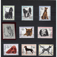 1963 Польша Фауна Собаки 8х-марок **