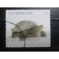 Австрия 2006 Стандарт, черепаха. Одиночка Михель-1,5 евро гаш