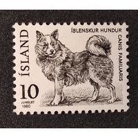 Исландия: 1м собака, 1980 (0,3 МЕ)