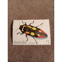 Австралия. Jewel beetle