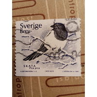 Швеция 2001. Птицы. Ворона