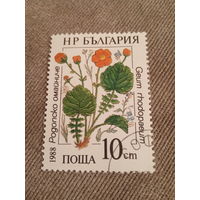 Болгария 1988. Растения. Geum rhodopaeum