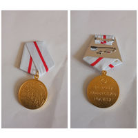 Медаль  за ОБОРОНУ СТАЛИНГРАДА (копия)