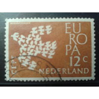 Нидерланды 1961 Европа