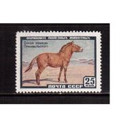 СССР-1959, (Заг.2240)  ** , Фауна , Лошадь Пржевальского