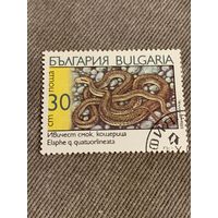 Болгария 1989. Змеи. Elaphe quatuorlineata. Марка из серии
