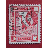 Британская колония Кения, Уганда, Танганьика 1954 г. Королева Елизавета -II. Жираф.