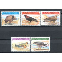 Западная Сахара - 1993г. - Птицы - полная серия, MNH - 5 марок