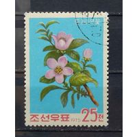 КНДР.1975.Цветы фруктовых деревьев (1 марка)