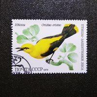 Марка СССР 1979 год Птицы - защитники леса