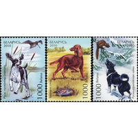 Охотнтчьи собаки Беларусь 2010 год (863-865) серия из 3-х марок