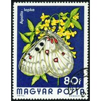Бабочки Венгрия 1974 год 1 марка
