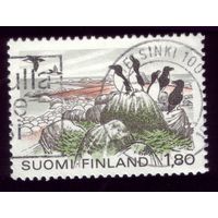1 марка 1983 год Финляндия 920