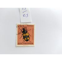 Гвинея 1953  жук