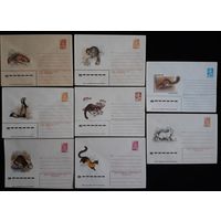 Комплект из восьми конвертов СССР  Пушные звери