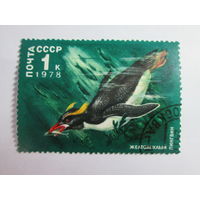 СССР Фауна  Пингвин 1978 год
