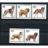 Германия - 1996г. - Собаки - полная серия, MNH, две марки с небольшими отпечатками [Mi 1836-1840] - 5 марок