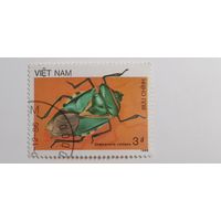 Вьетнам 1987. Жуки